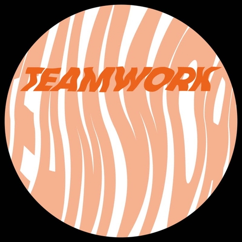 VA - Teamwork, Vol. III [TESS012]